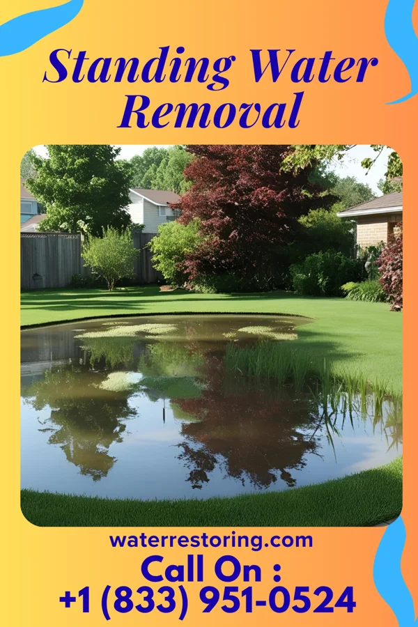 Standing Water Removal in Sidney, NE